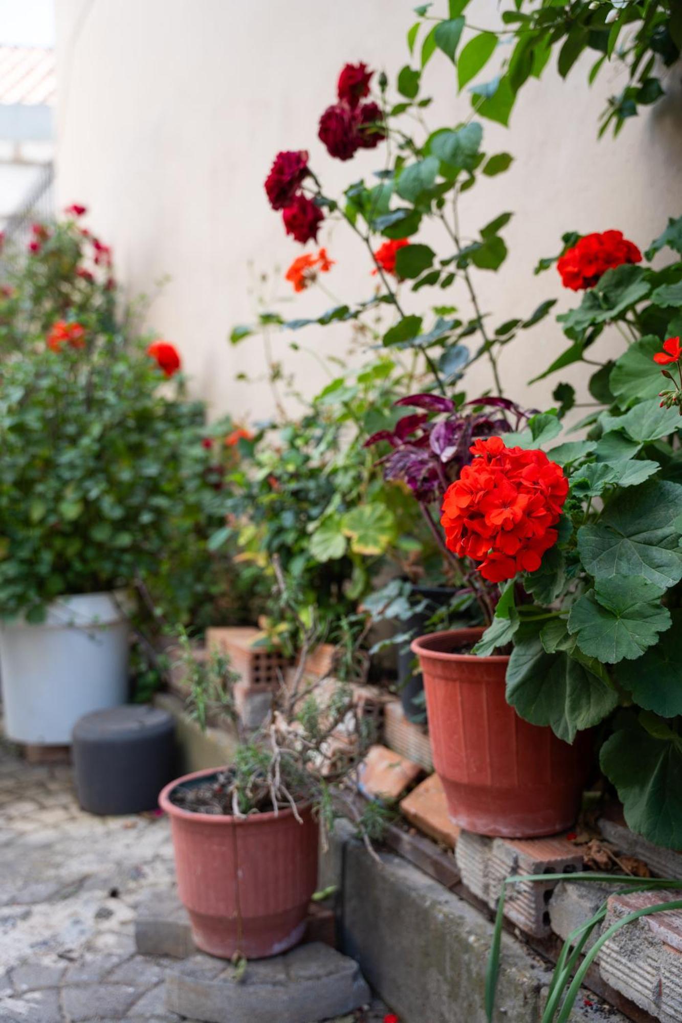 Nyx Guesthouse Tripoli Ngoại thất bức ảnh