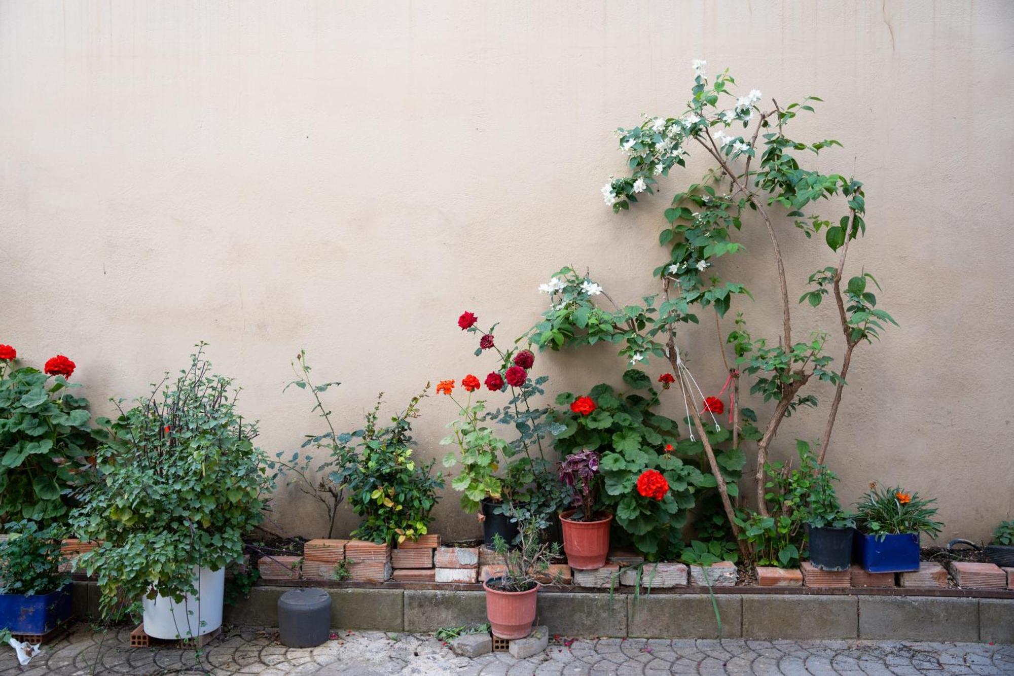 Nyx Guesthouse Tripoli Ngoại thất bức ảnh